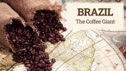 Brazil – the coffee giant